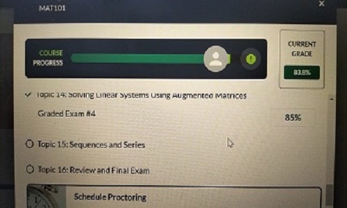 Do my Hesi courses